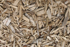 biomass boilers Biscot